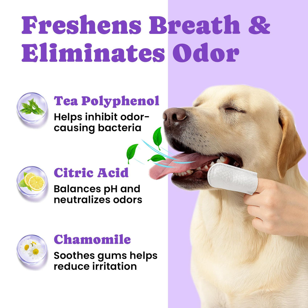 BuddyCheer lingettes dentaires pour usage quotidien et pratique.