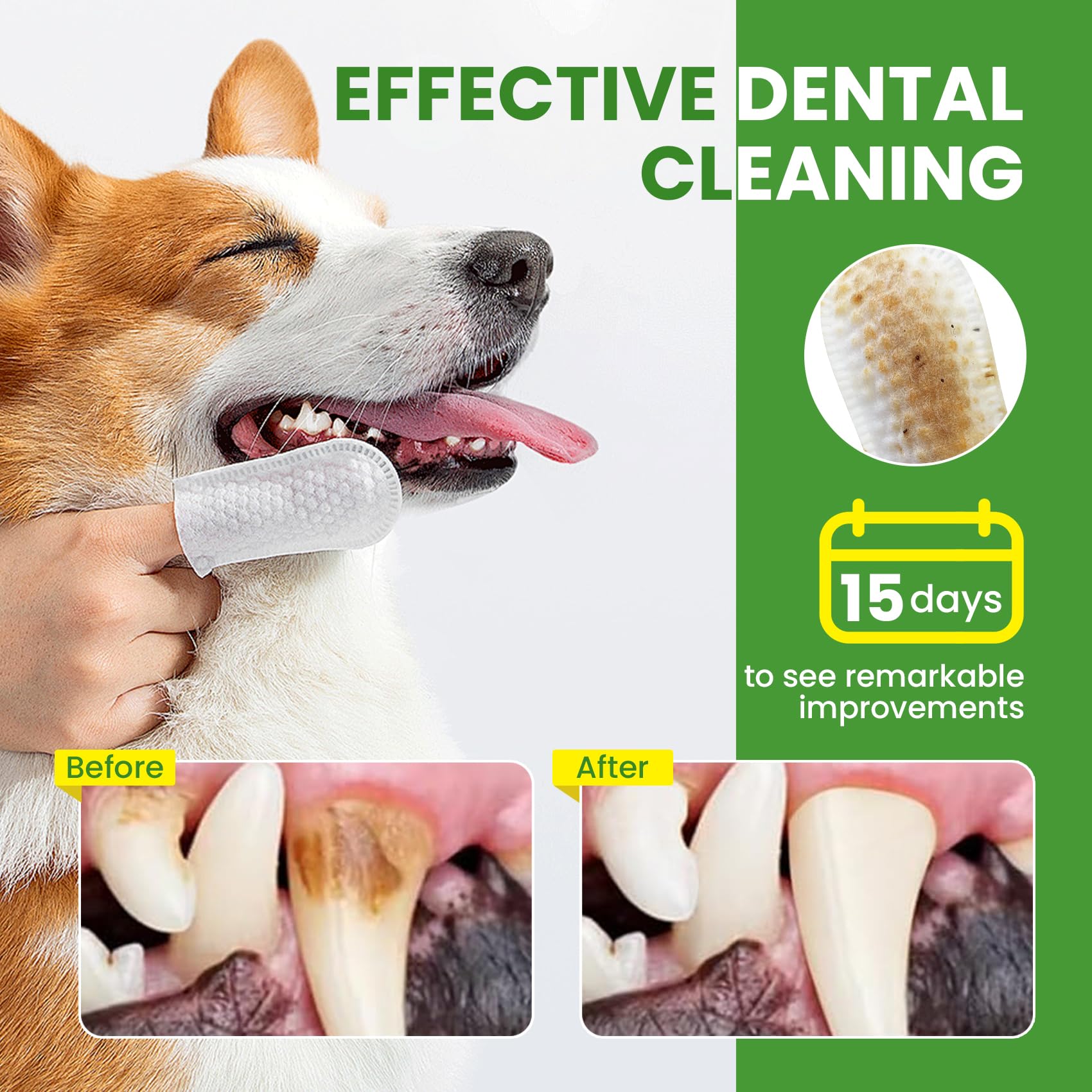 Usage quotidien des lingettes BuddyCheer pour chiens