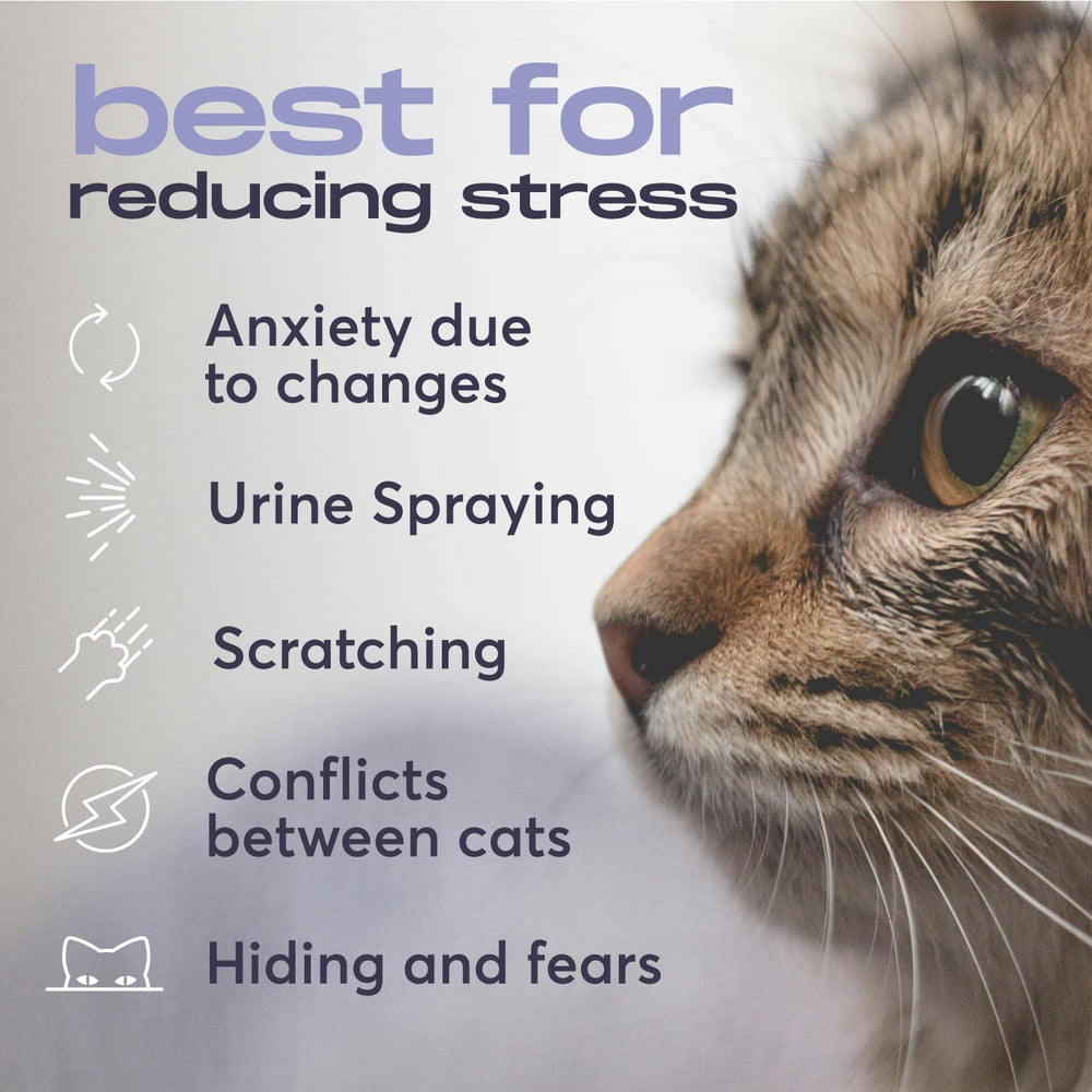 BuddyJoy recharges-chat apaisement pour réduire le stress du félin.