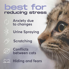 BuddyJoy recharges-chat apaisement pour réduire le stress du félin.