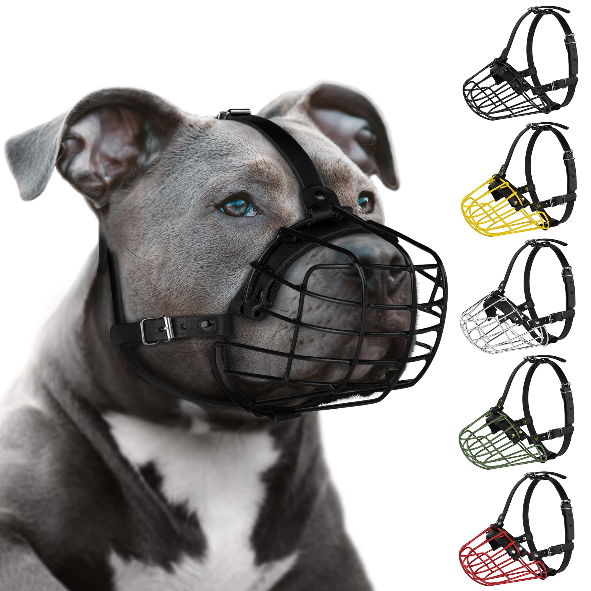BUDKAS masque-pitbull-metallique offre sécurité et confort pendant les promenades.