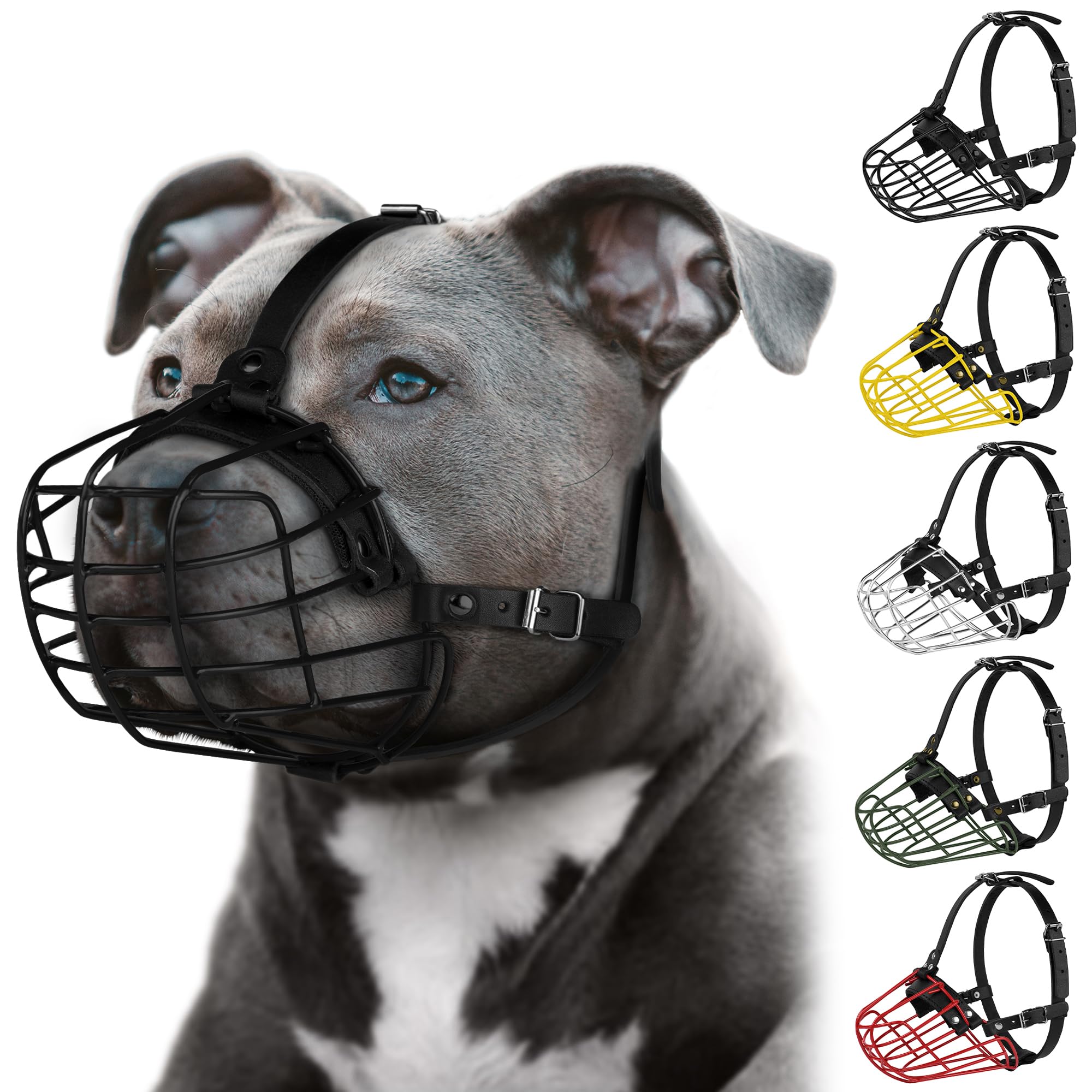 BUDKAS masque-pitbull-promenade-pratique pour les sorties quotidiennes.