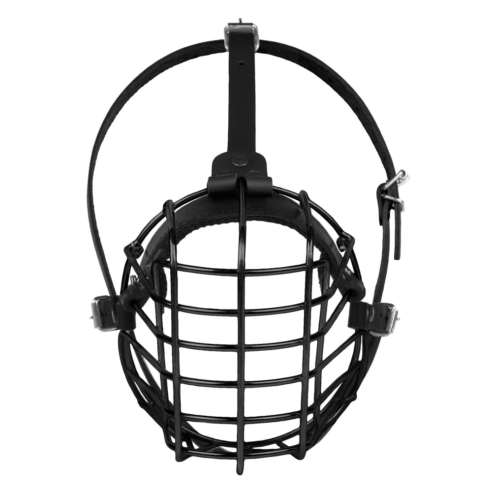 Budkas grille de ventilation, vue dessus, laisse le chien respirer lors des activités.