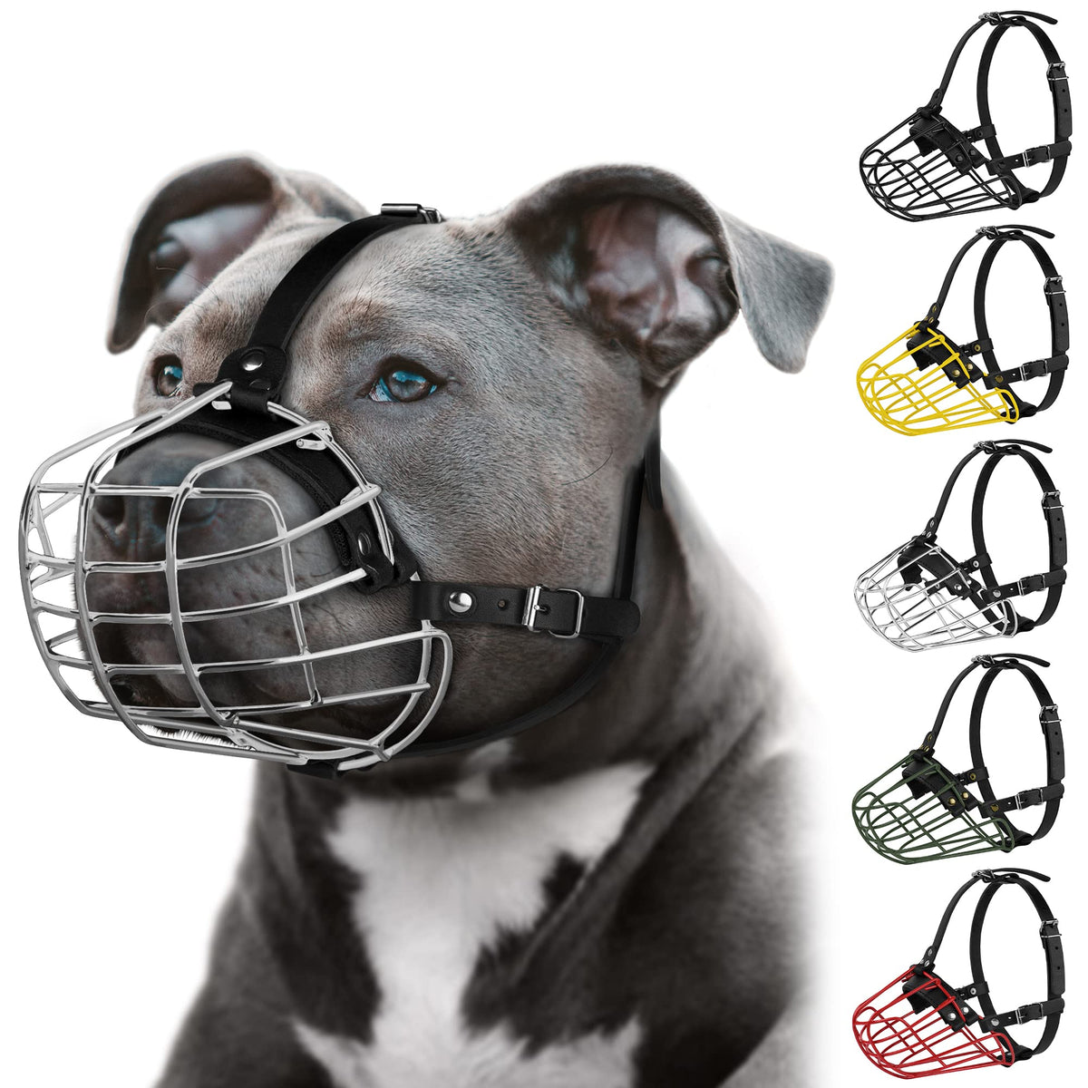 Budkas muselière pour pitbull, masque métallique et ventilation confortable.