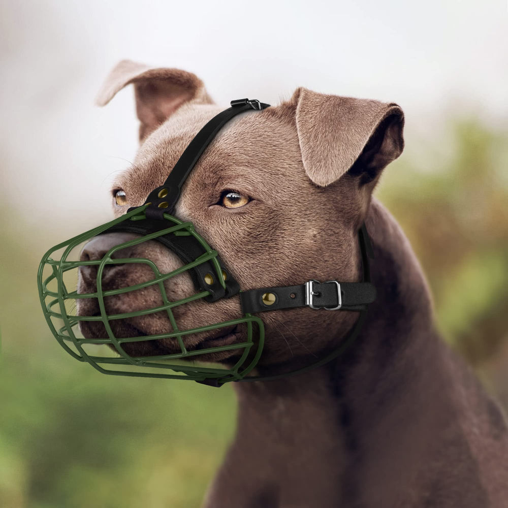 BUDKAS Pitbull: design pensé pour permettre l’ouverture de bouche et léchage.