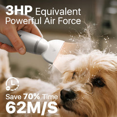 Buenkee seche-poil flux d'air 62m/s pour évacuer l'humidité rapidement