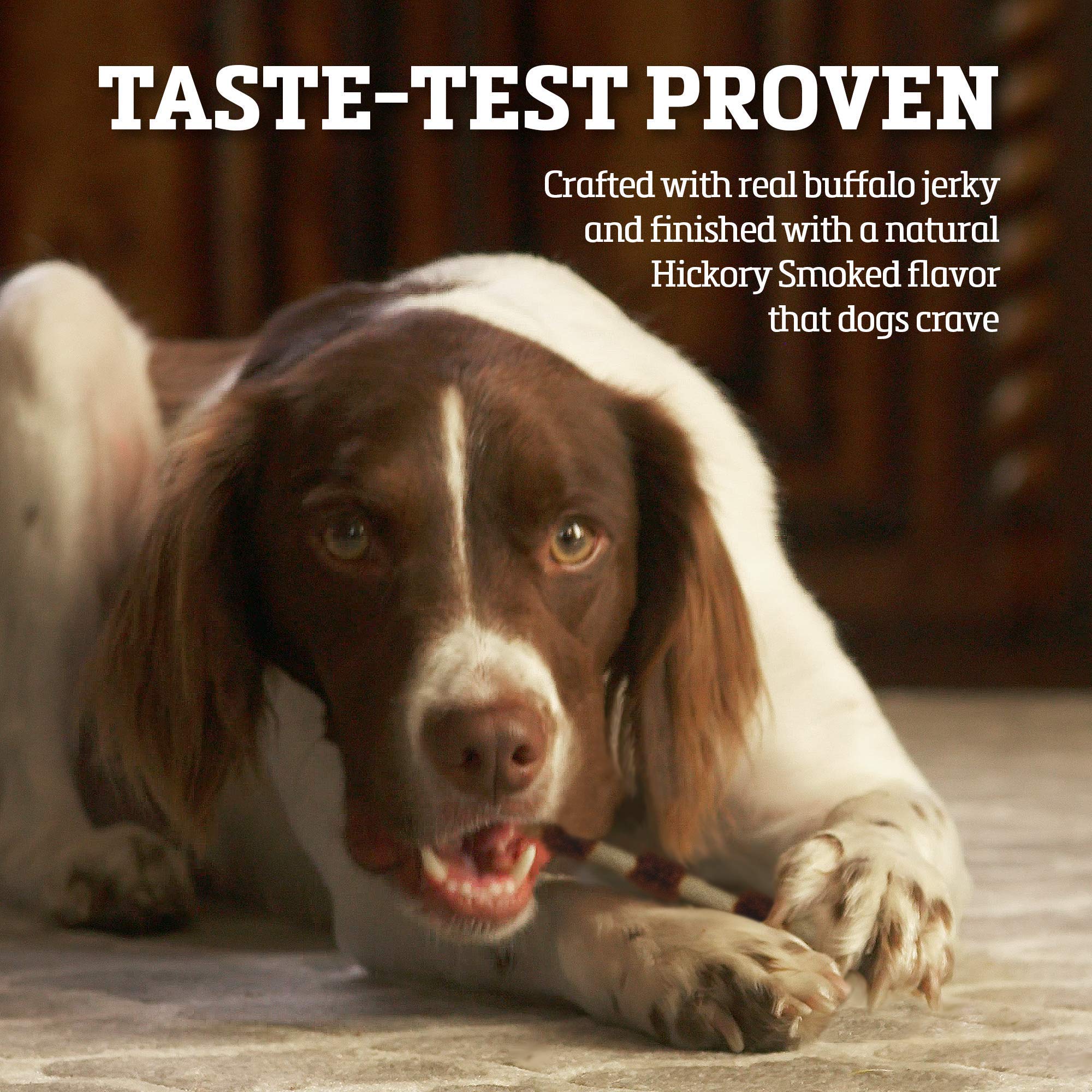 Buffalo Range: os cuir brut naturel pour chien, friandise durable.