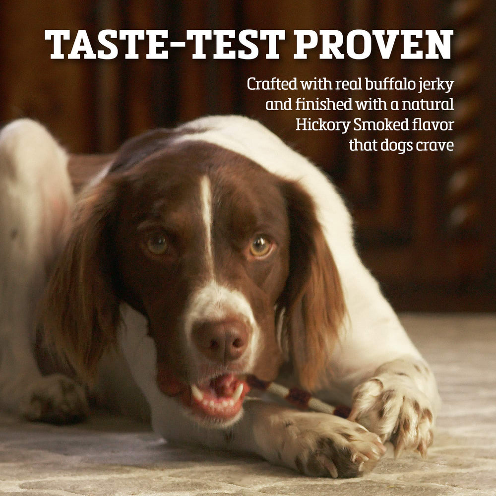 Buffalo Range: os cuir brut naturel pour chien, friandise durable.