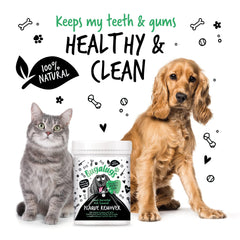 BUGALUGS Application Simple – poudre sur nourriture chien, utilisation sans brosse.