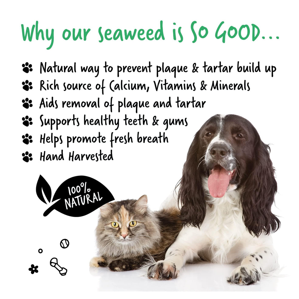 BUGALUGS Haleine Fraîche – dent chien, support naturel pour réduire l’odeur.