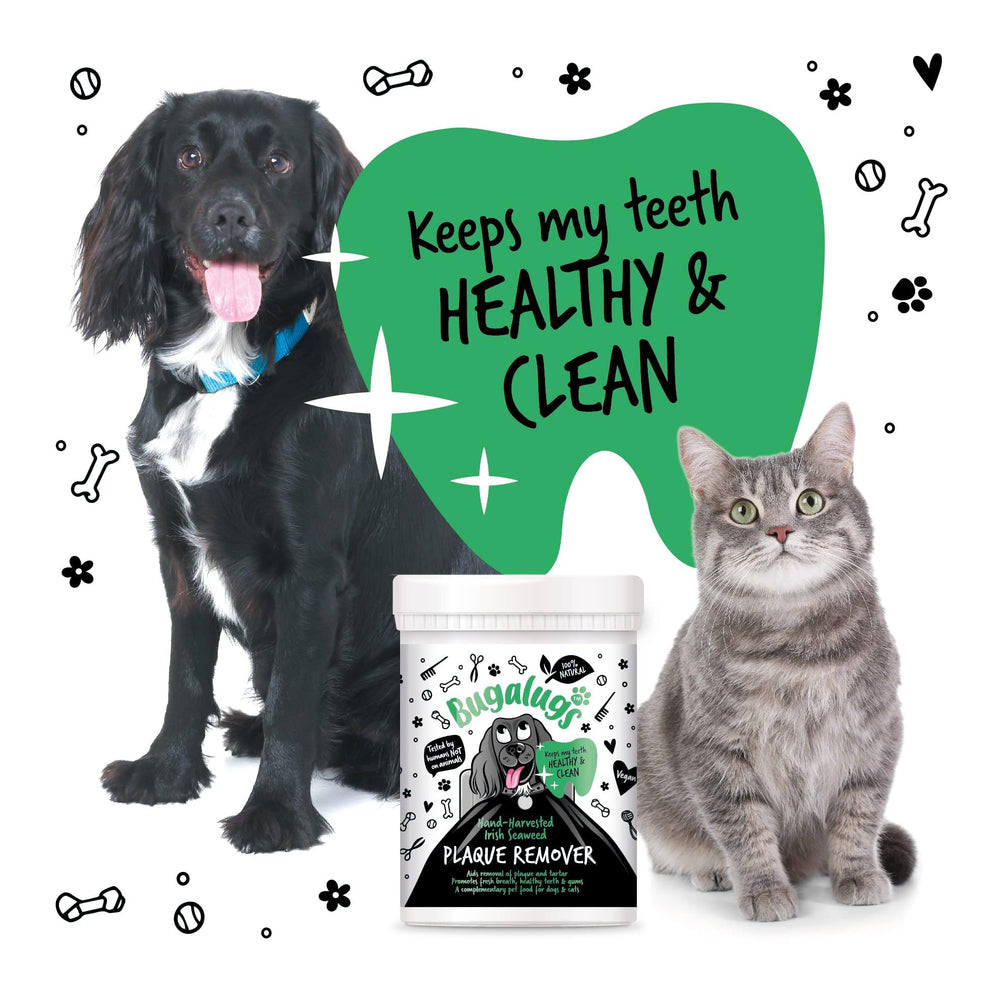 BUGALUGS Ingrédients Naturels – kelp et vitamines pour dents et gencives.