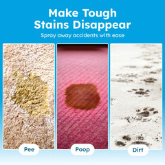 BugMD nettoyant enzymatique multisurface pour tapis et meubles — efficacité ciblée.