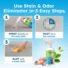 BugMD nettoyant urine multisurface — adapté tapis, sols et meubles.