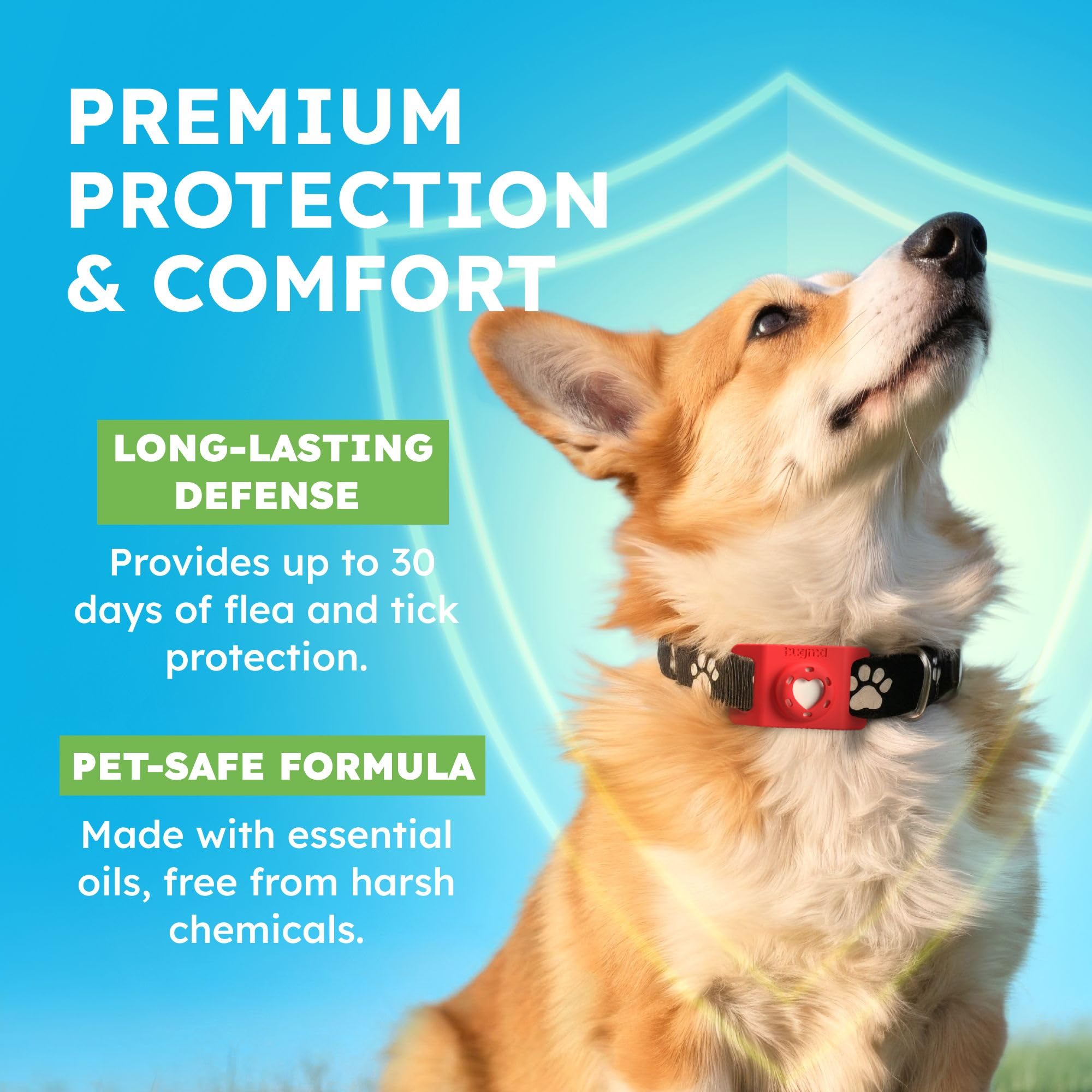 BugMD Paw Guardian – Boucle compatible colliers et harnais, facile à attacher.