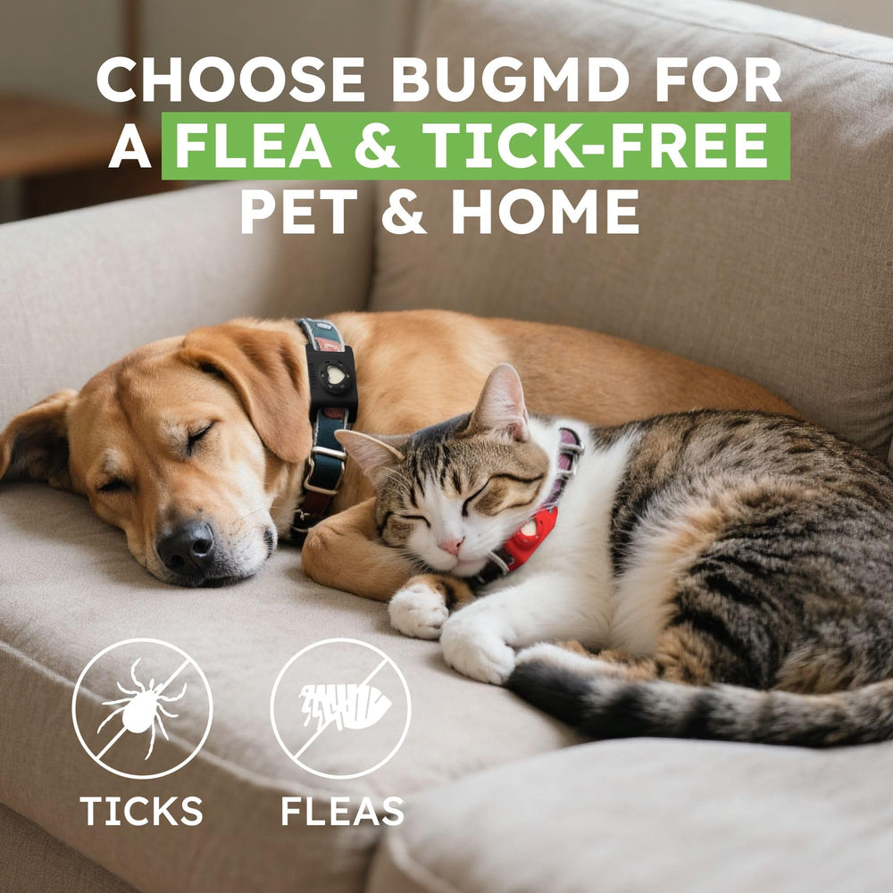BugMD Paw Guardian – Emplacement pratique pour AirTag et sécurité.