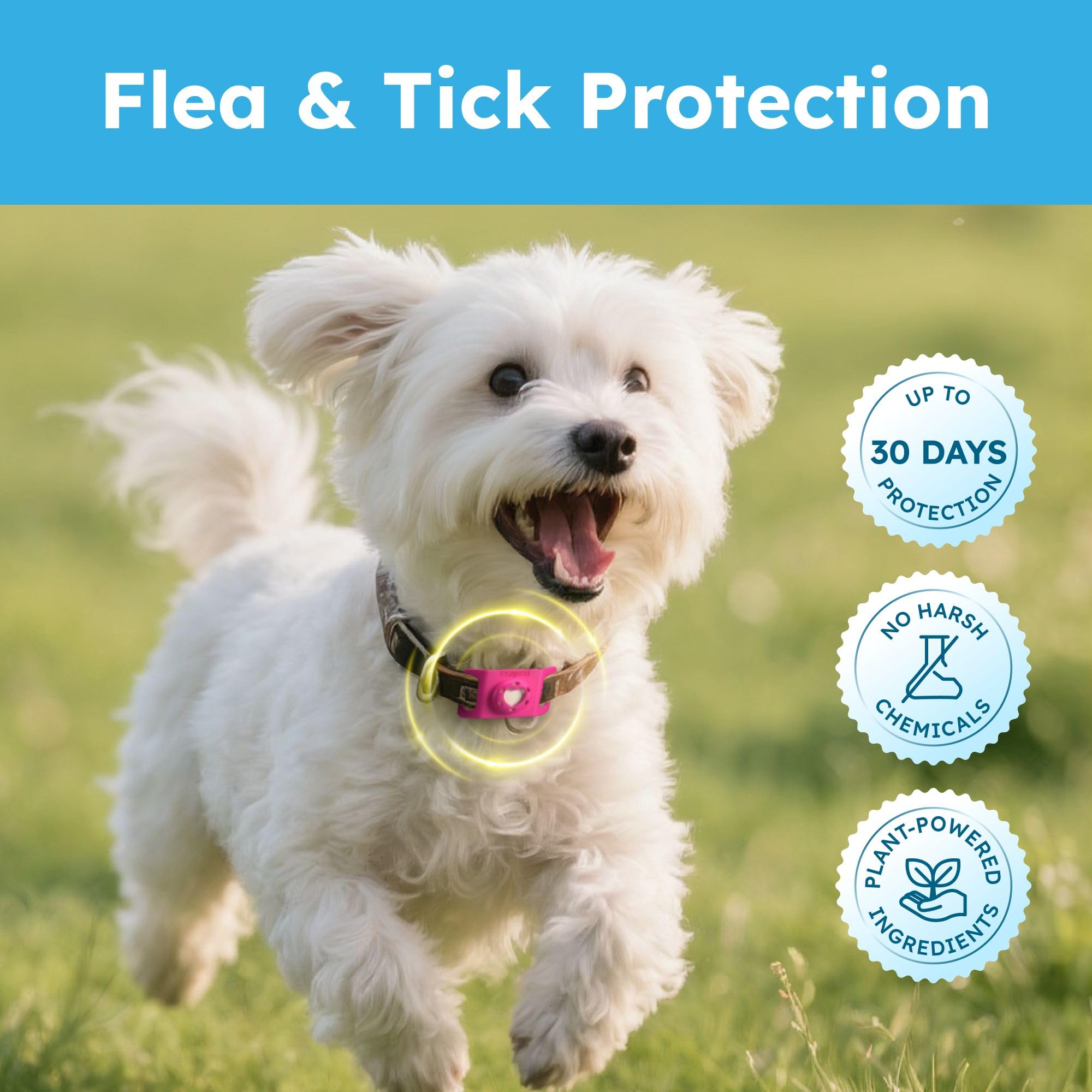 BugMD Paw Guardian – Léger et confortable pour une utilisation quotidienne.