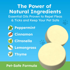 BugMD Paw Guardian – Protection puces et tiques jusqu’à 30 jours pour votre animal.