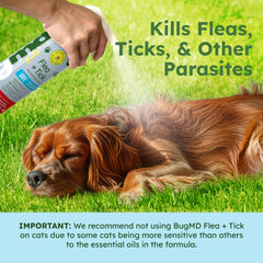 BugMD Spray Puces et Tiques sur chenils, zones de repos propres.