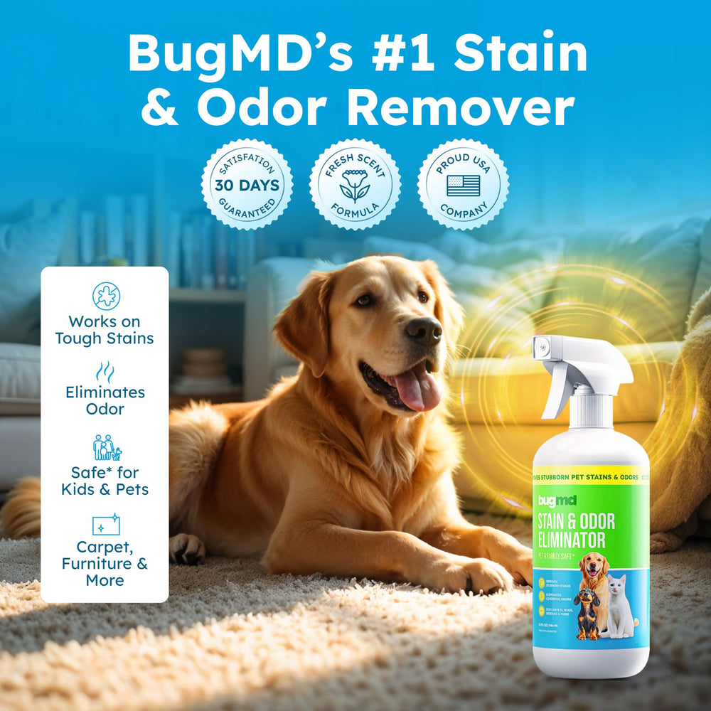 BugMD utilisation sûre autour des animaux — sans produits agressifs.