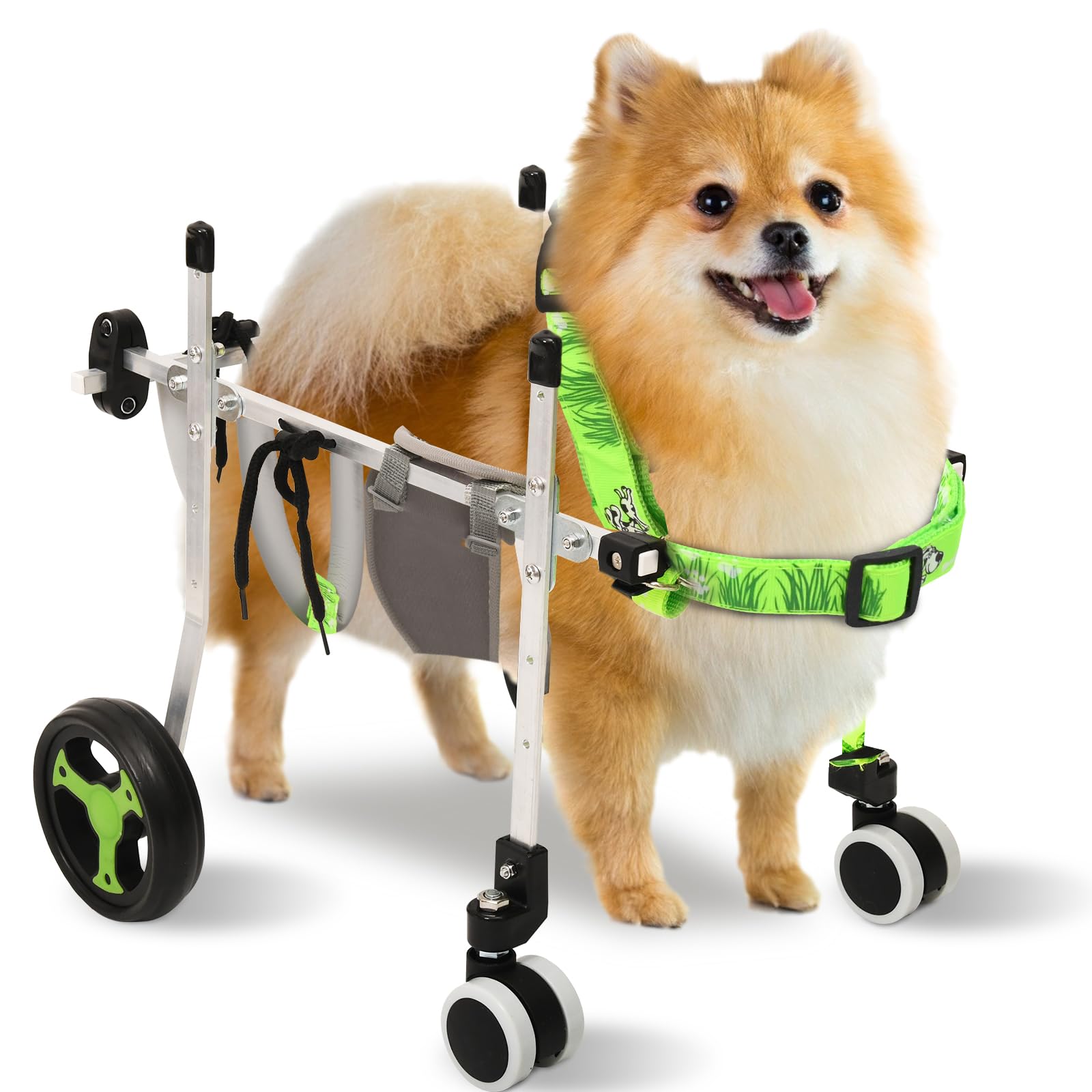 Buifact chariot pour chien à quatre roues, soutenant les pattes arrière pour la mobilité.