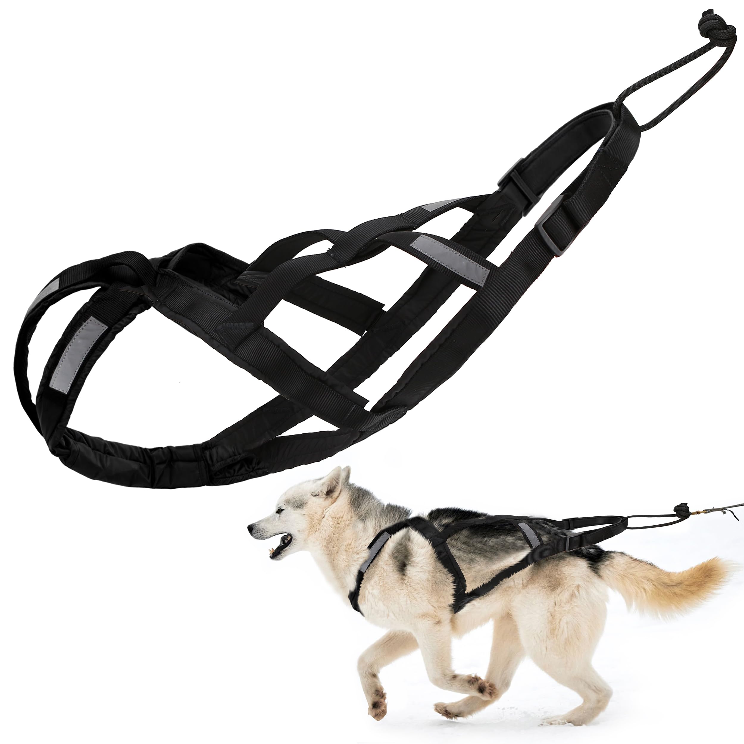 Harnais Traîneau BuleVina taille L pour chien moyen, ajustement sûr.
