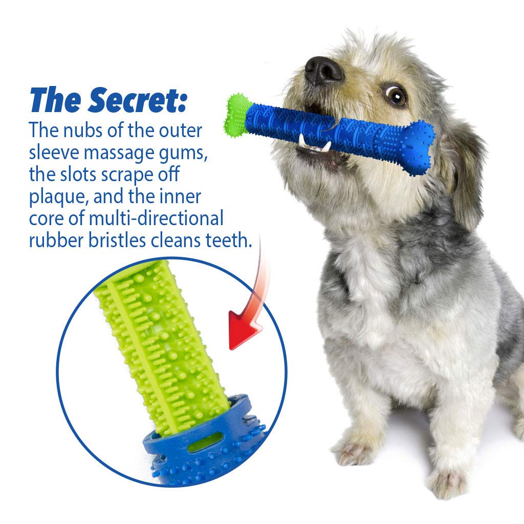 BulbHead Chewbrush forme d os-jouet qui attire et amuse votre chien tout en nettoyant.