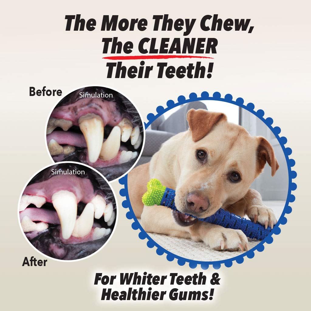 BulbHead Chewbrush sans dentifrice nécessaire, pratique pour les sorties.