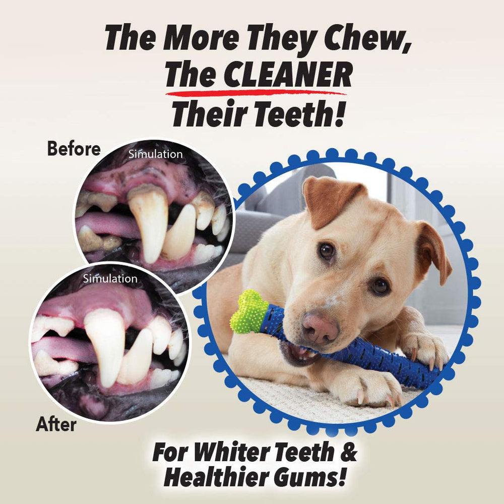 BulbHead Chewbrush sans dentifrice nécessaire, pratique pour les sorties.