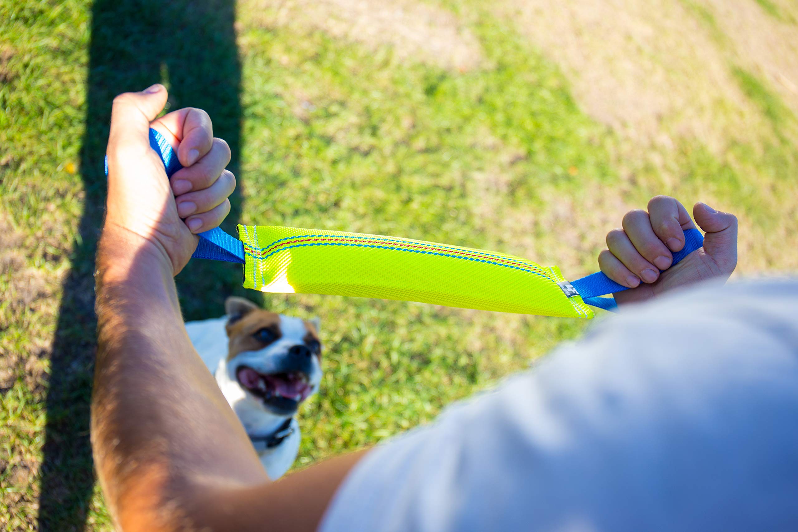 Bull Fit cadeau idéal pour chiens, favorise l’amusement et la coopération maître-chien