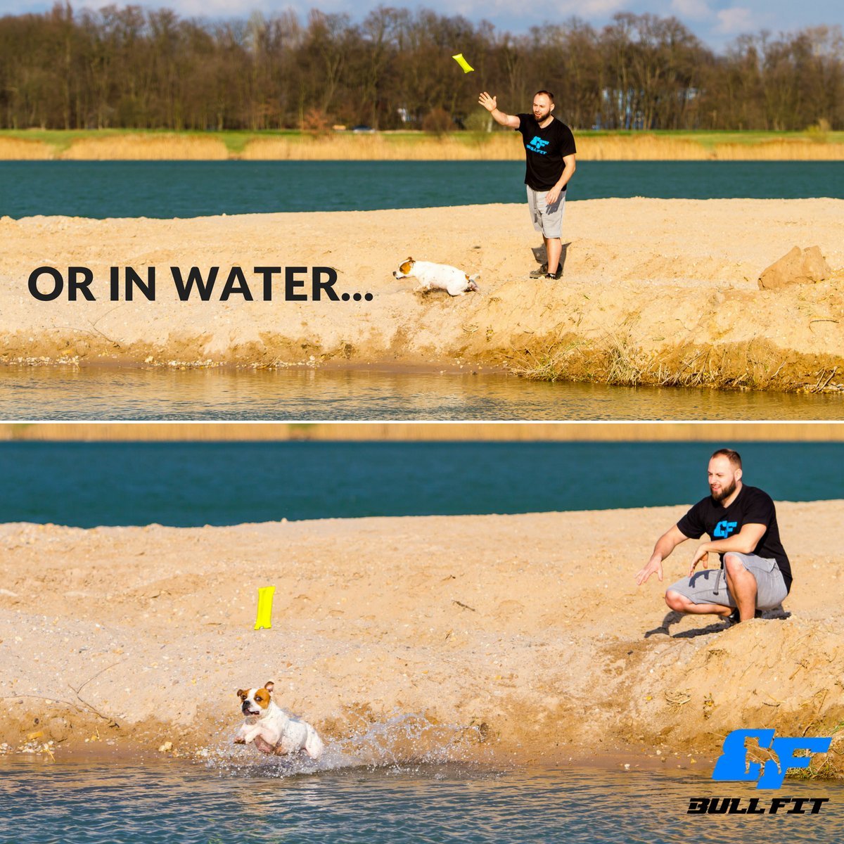 Bull Fit - jouet flottant dans l'eau, conçu pour l'entraînement nautique et le fetch.
