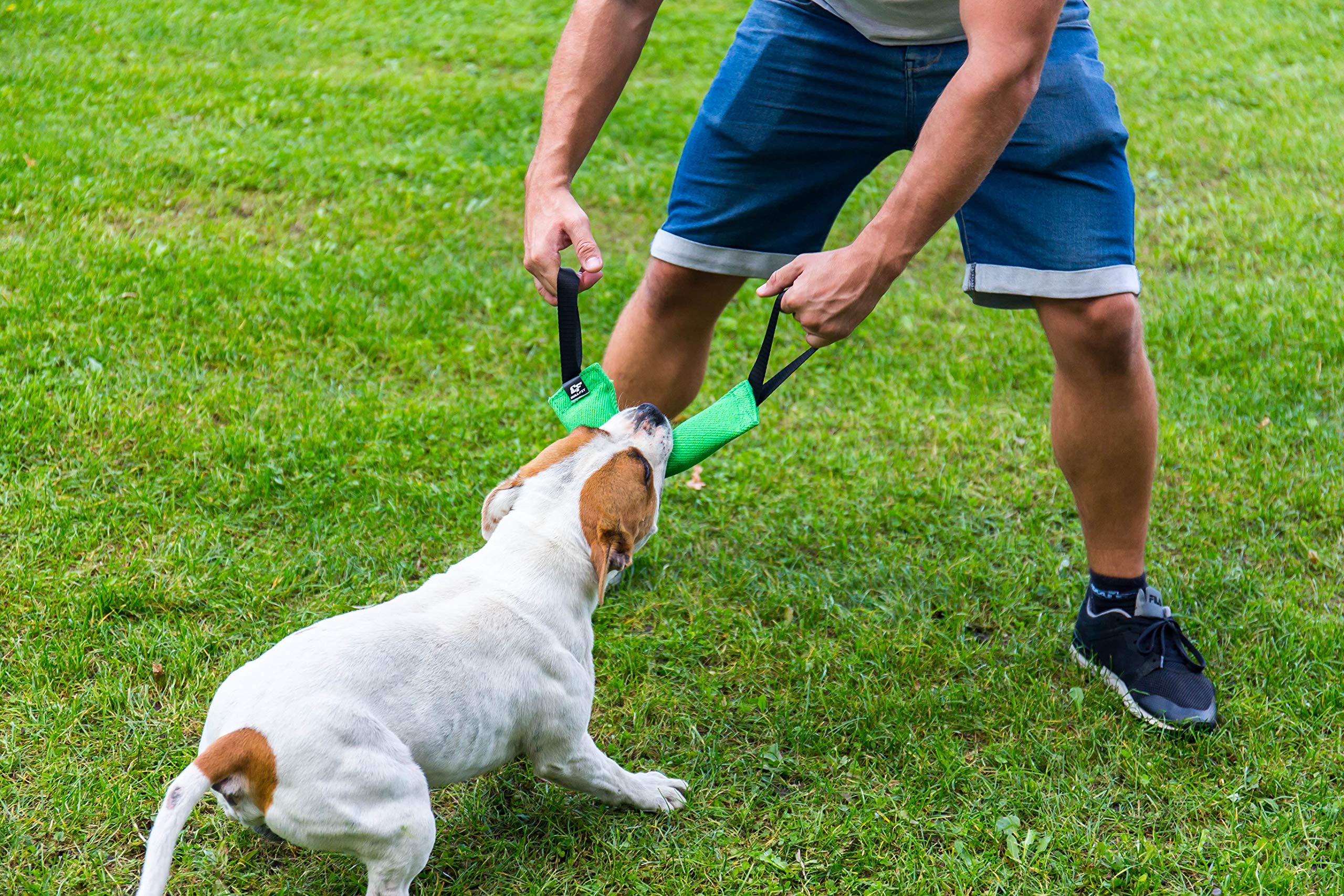 Bull Fit K9 – jeu interactif avec supervision nécessaire.