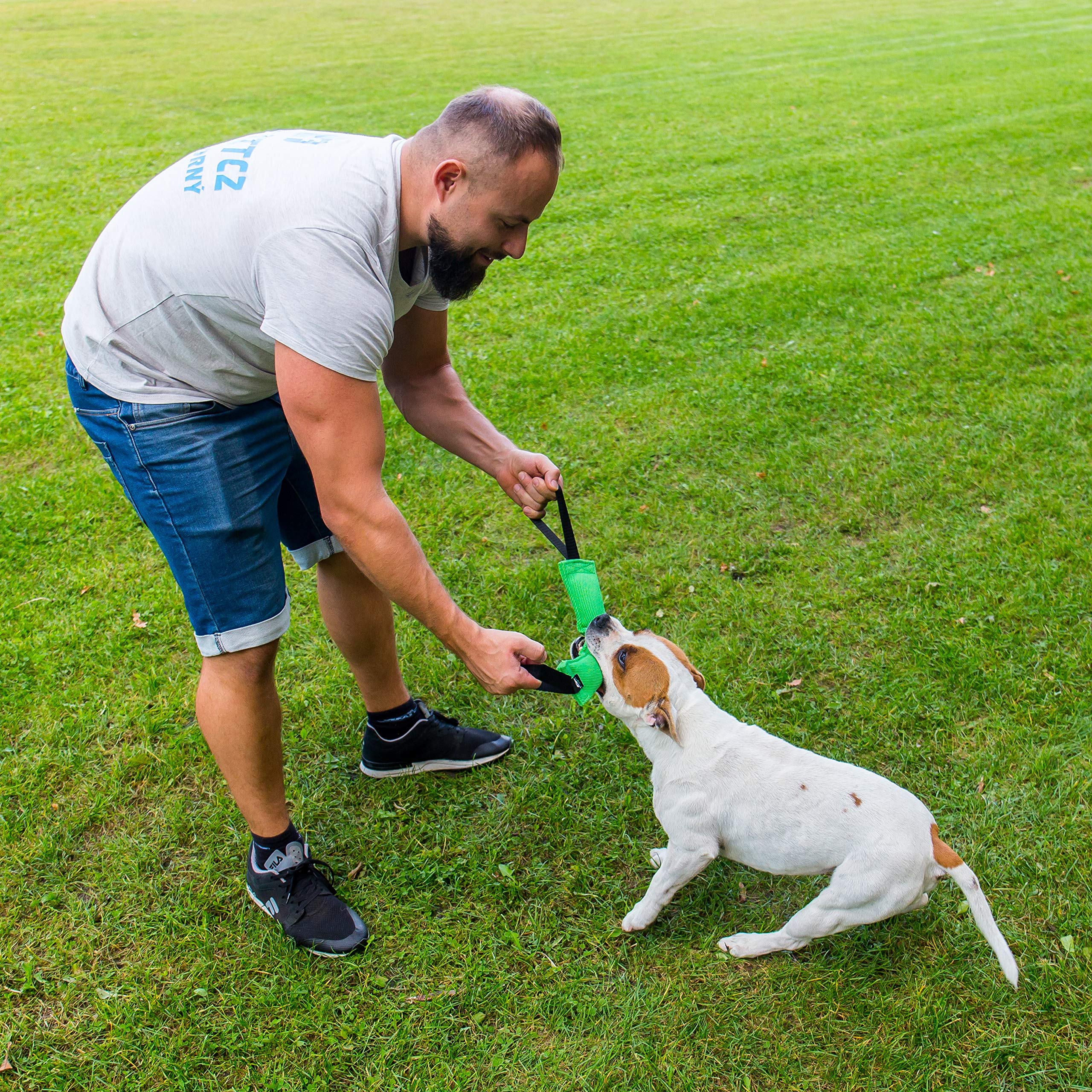 Bull Fit K9 – idéal pour chiots et chiens moyens à grands.