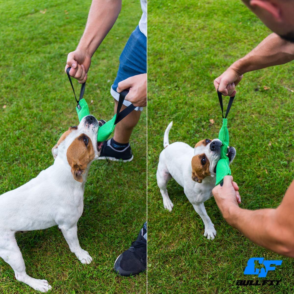 Bull Fit K9 – jouet d’entraînement polyvalent et sportif canin.