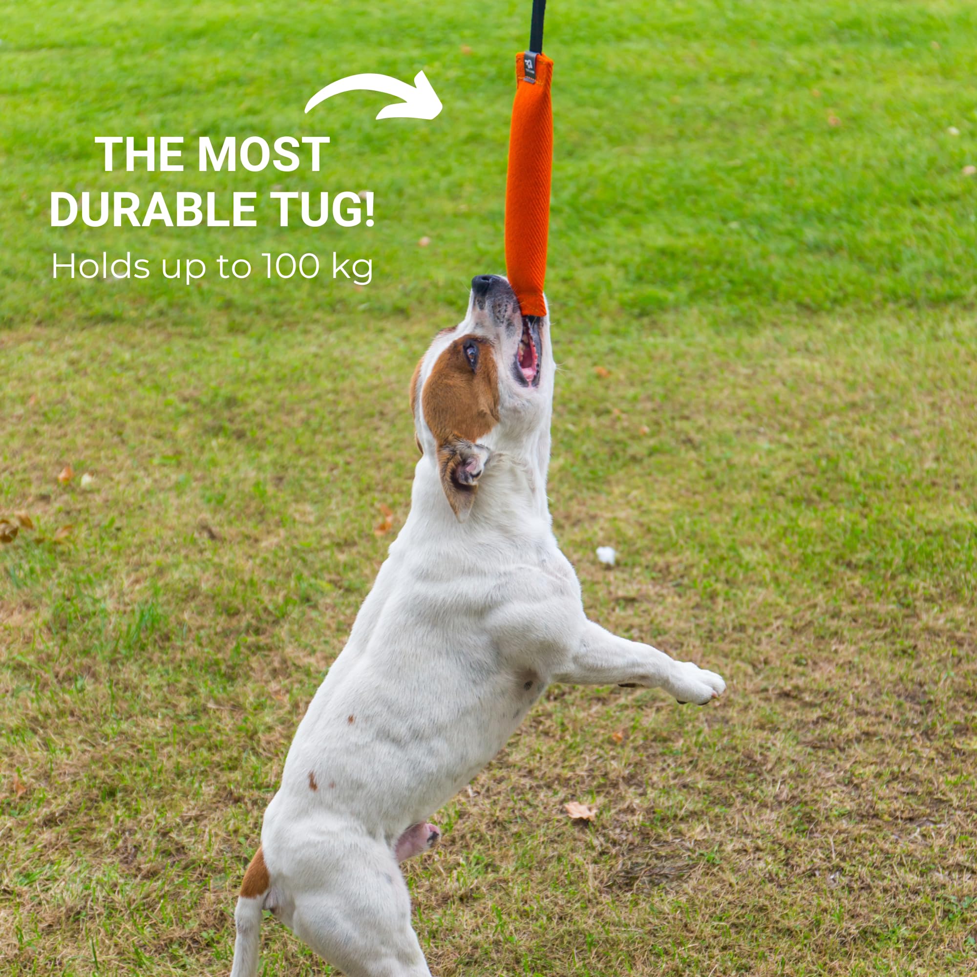 Bull Fit K9 Tug compatible avec l entraineur pour entrainement guide