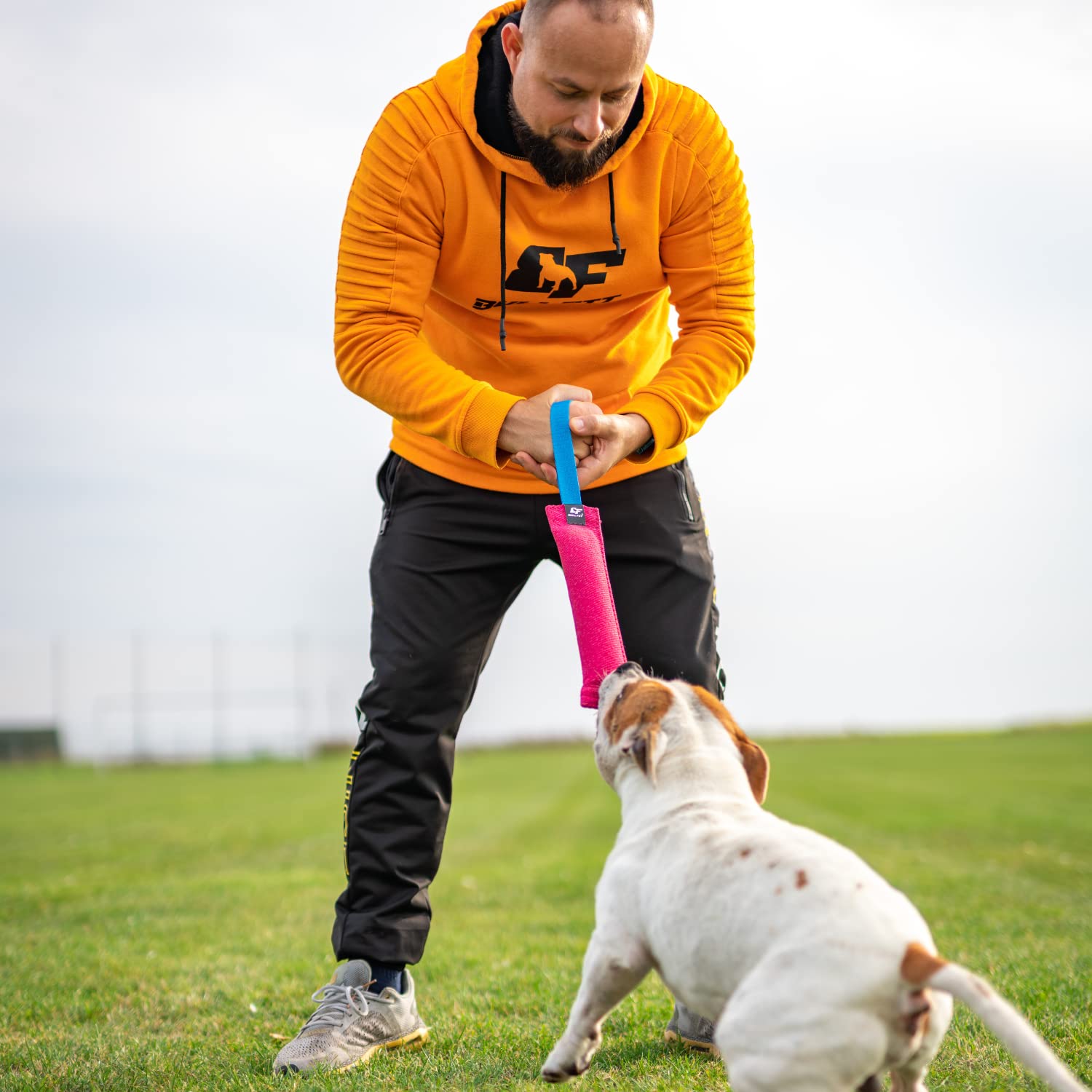 Bull Fit K9 Tug ideal pour chiens moyen a grand lors d affrontements amicals