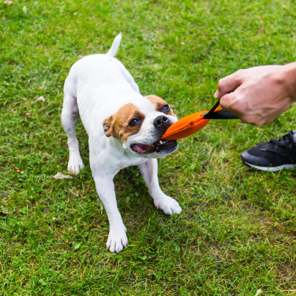 Bull Fit K9 Tug tissu lin doux pour chiens moyens a grands