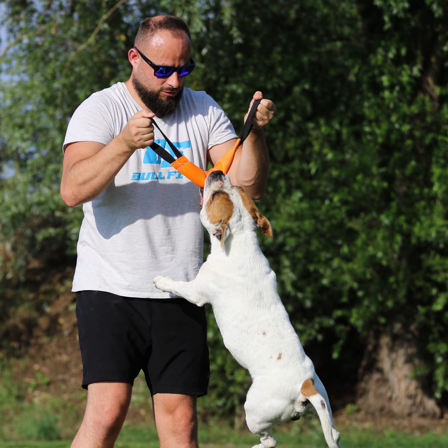 Bull Fit renforcement liaison chien-proprietaire, favorise le lien pendant l'activité.