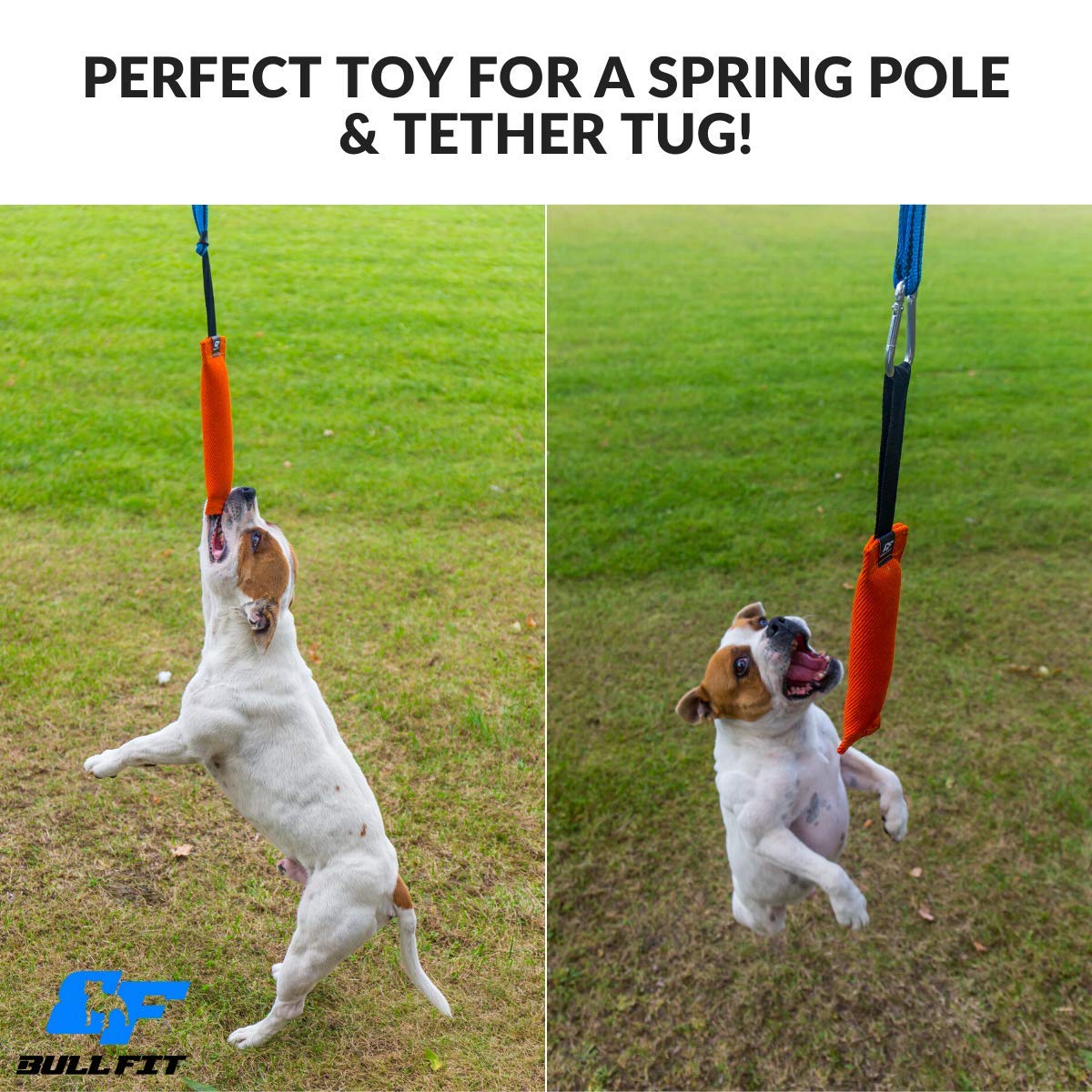 Bull Fit – sport canin