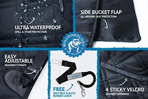 Bulldogology flancs lateraux: protection additionnelle et couverture complete.