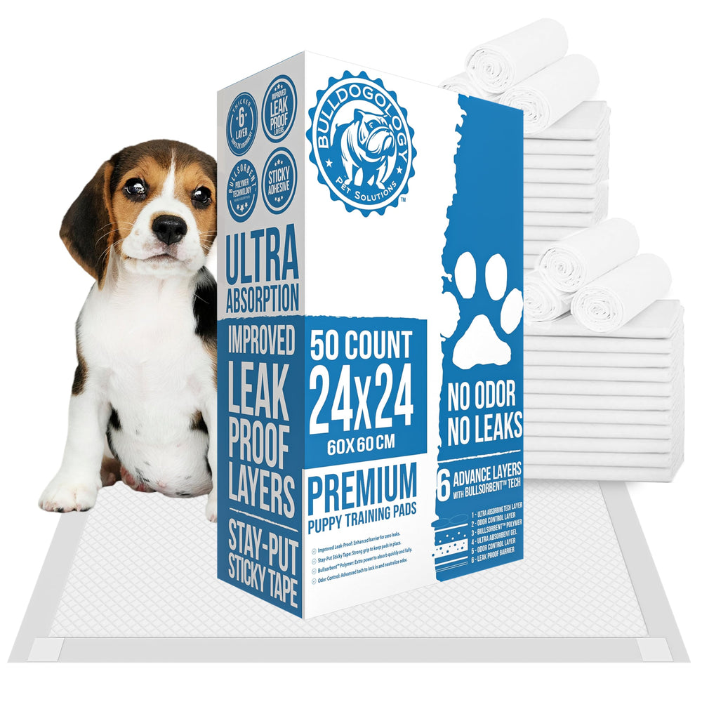 Bulldogology pads grand format 24x24, absorption rapide pour sols propres.