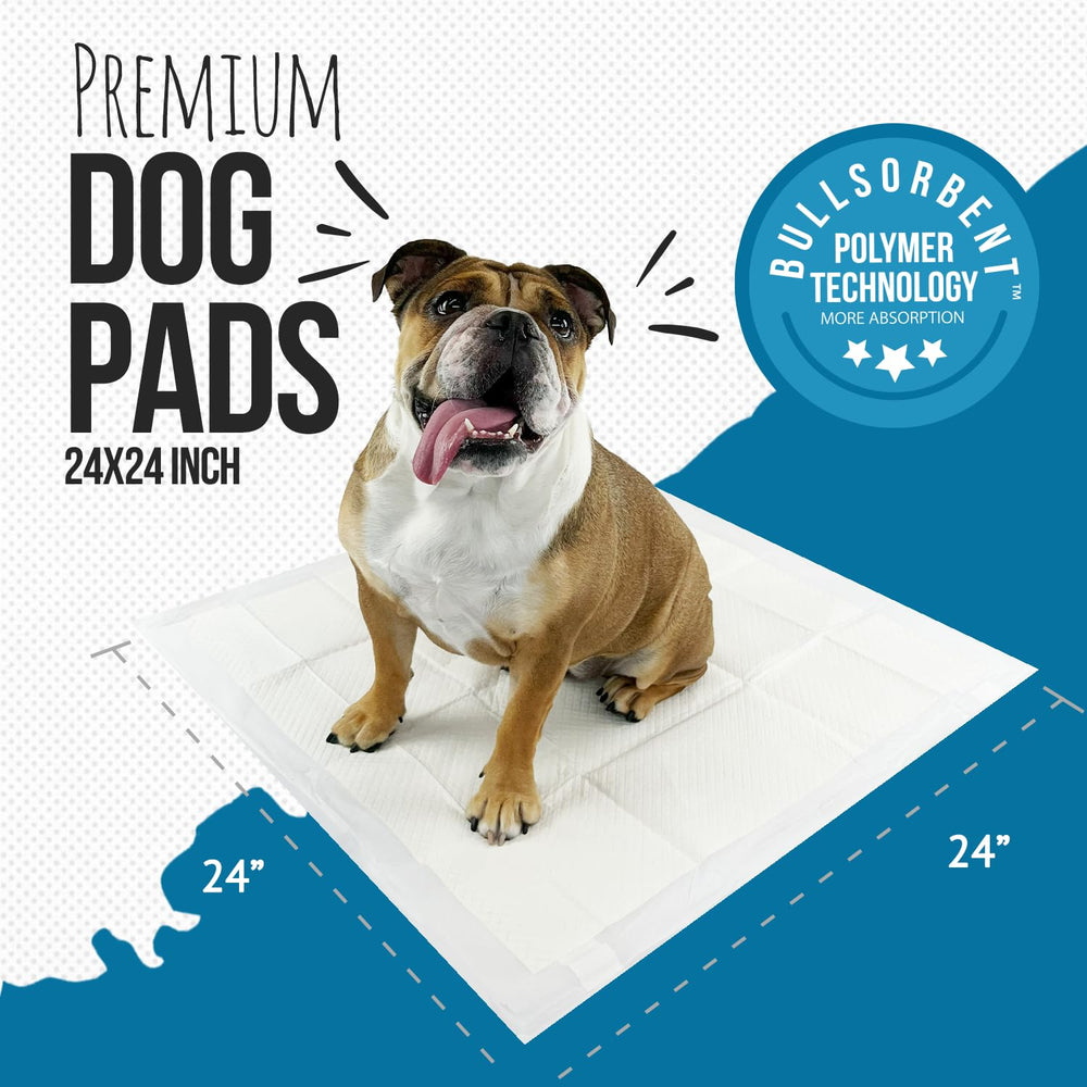 Bulldogology Tapis six couches absorbantes: absorption rapide et sols propres