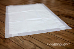 Bulldogology Bullsorbent: technologie d’absorption rapide et gel du liquide