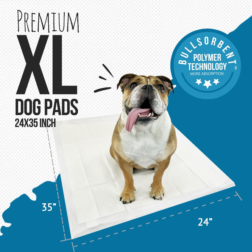 Bulldogology tapis d'entraînement XL 24x35, surface adhésive pour éviter les déplacements