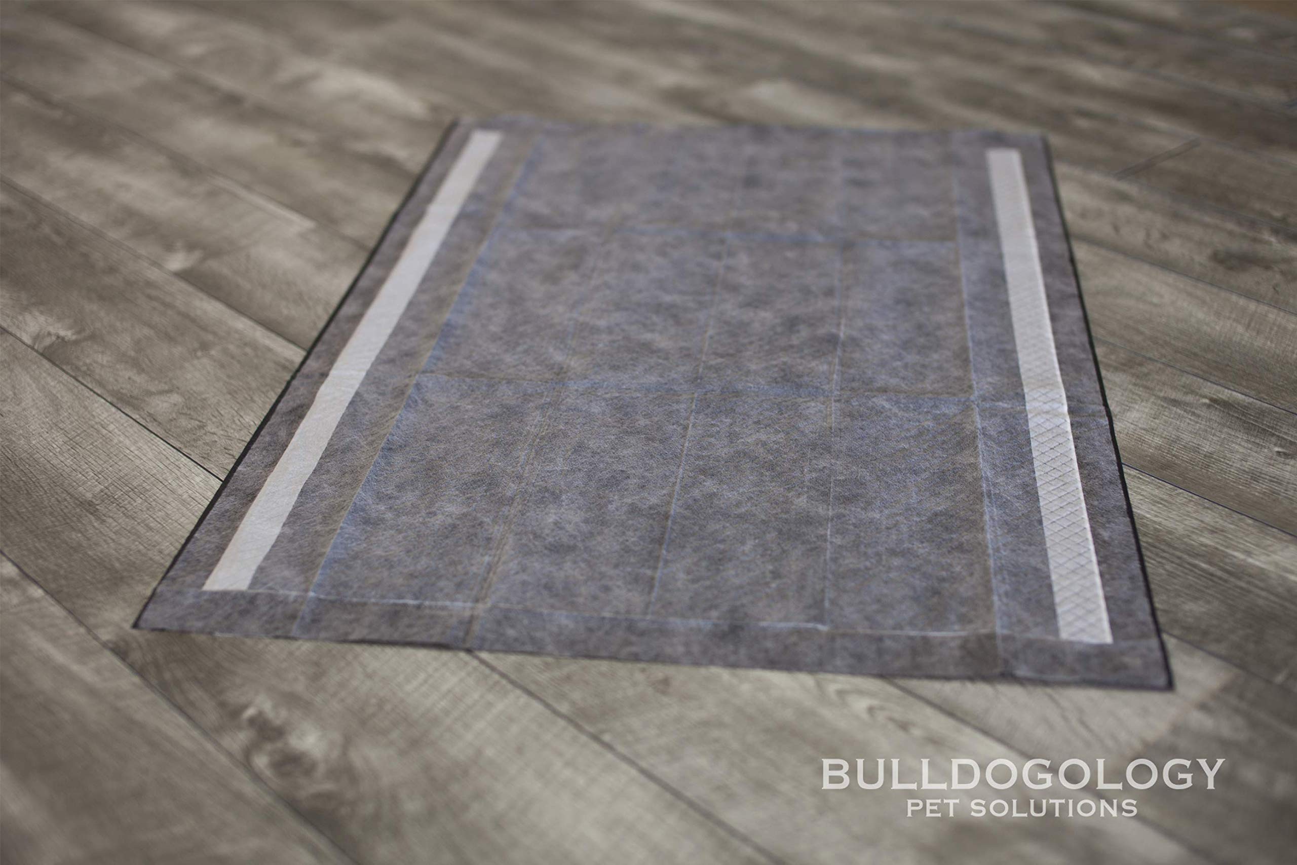 Bulldogology Tapis-proprete noir avec adhésif, surface absorbante adaptée à l'entraînement intérieur.