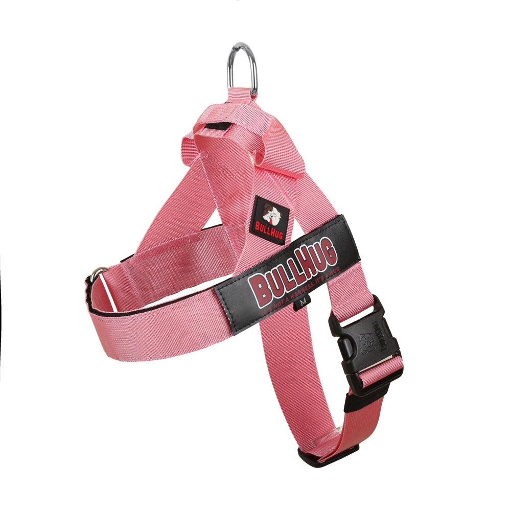 BullHug harnais chien ajusté pour un confort durable lors des promenades
