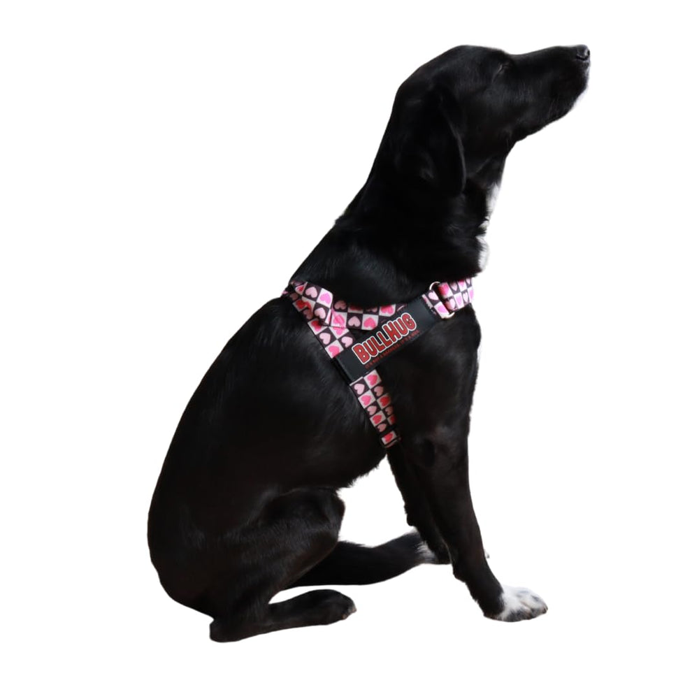 BullHug harnais: facile à enfiler par la tête du chien.