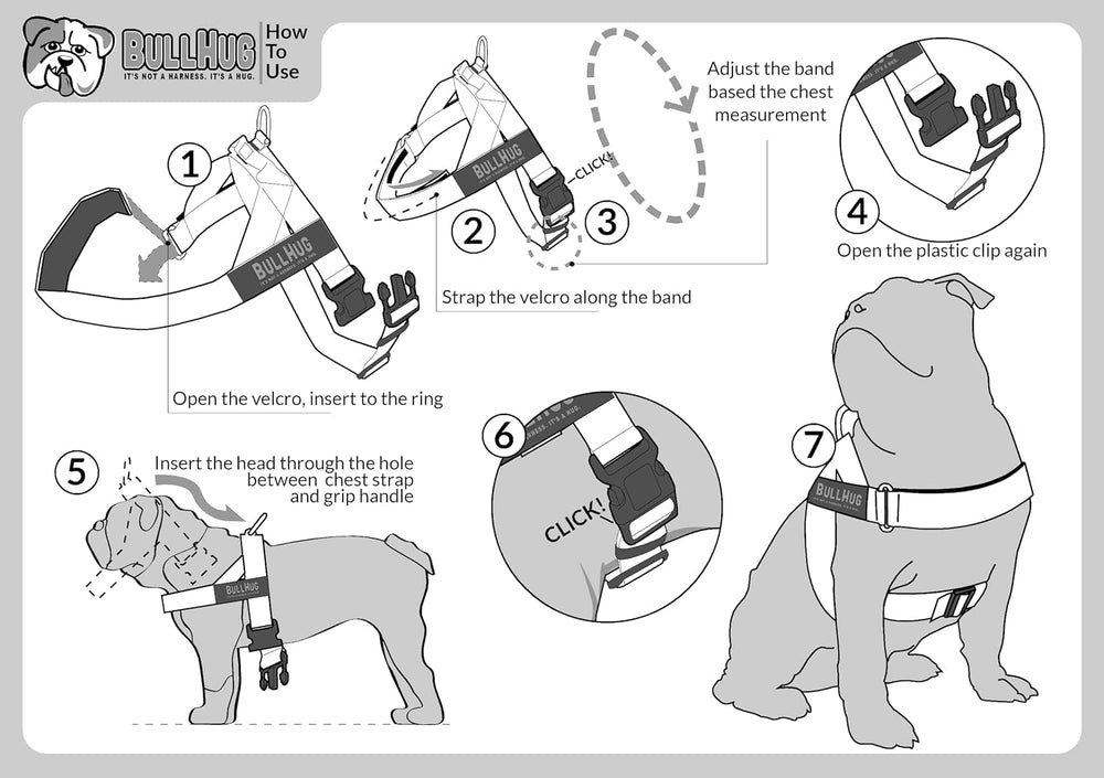 BullHug harnais: tailles et couleurs disponibles pour tous les chiens.