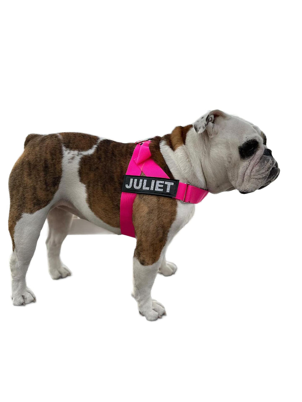 Harnais BullHug rose neon visible pour sécurité et style