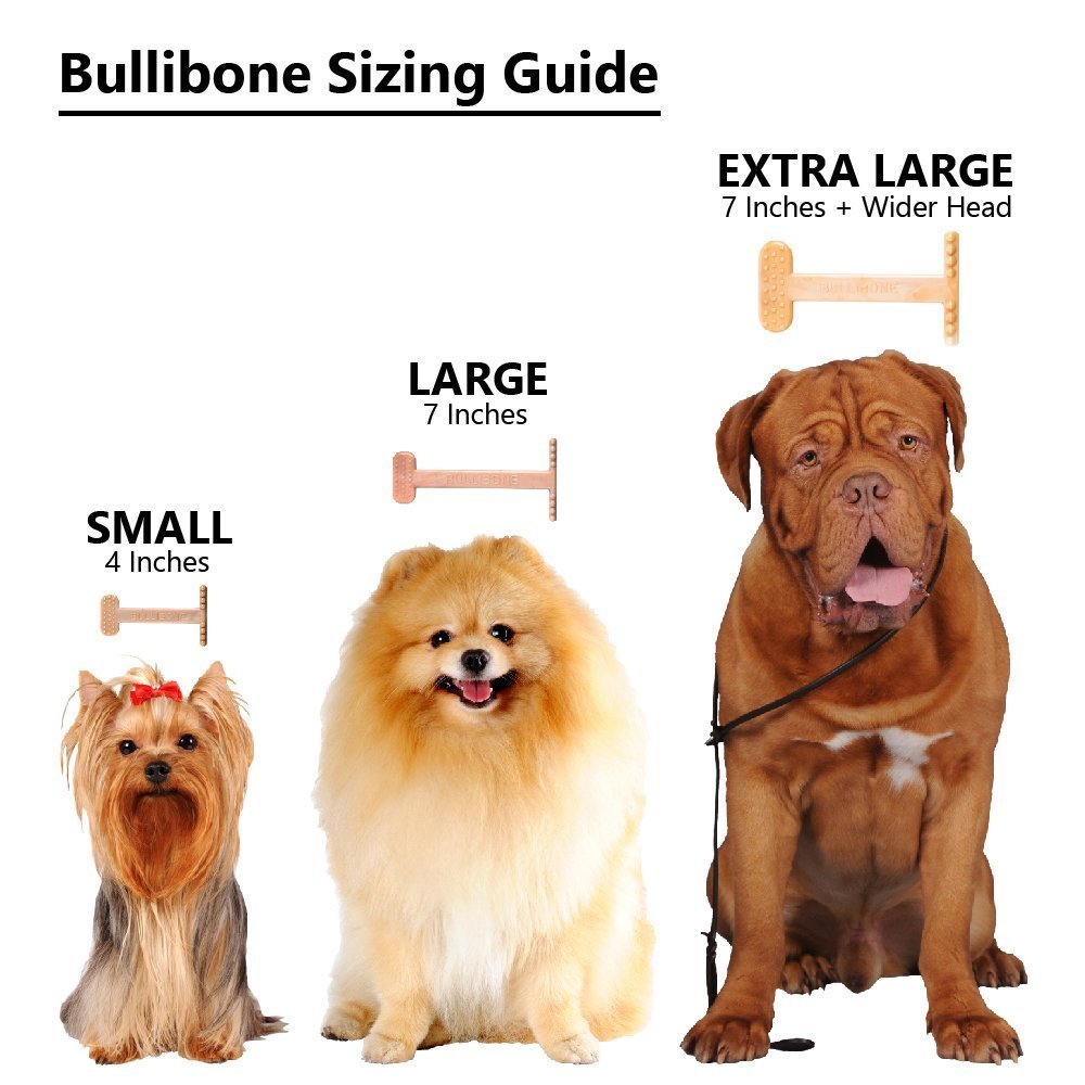 Bullibone os-nylon-indestructible: alternative sûre au rawhide