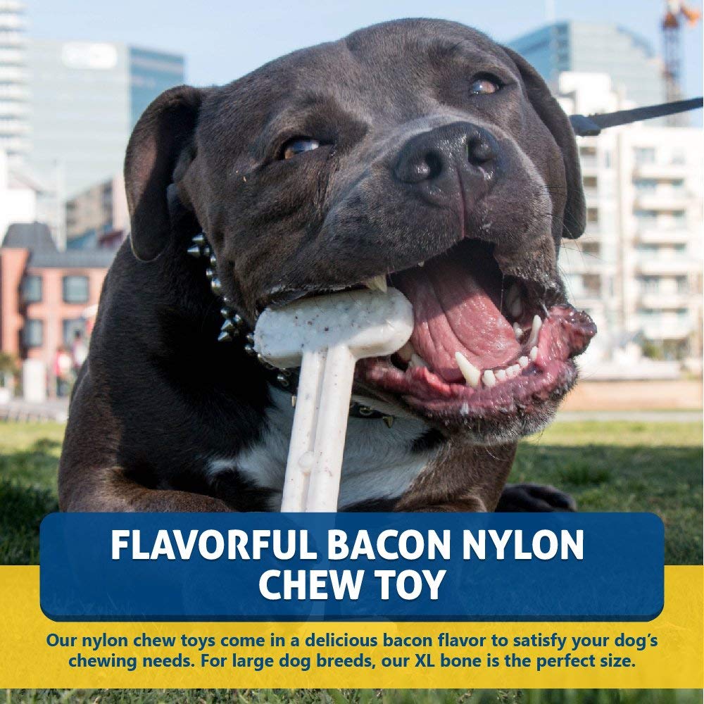 Bullibone os nylon durable, résistant aux mâchoires puissantes et alternative sûre aux os à ronger.